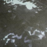 http://23.32.lightizm.com/files/gimgs/th-76_71_Nostalgia1_v2.jpg