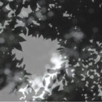http://23.32.lightizm.com/files/gimgs/th-76_71_Nostalgia2_v2.jpg