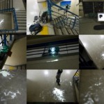 http://23.32.lightizm.com/files/gimgs/th-76_71_Nostalgia4_v2.jpg